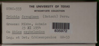 Image Associated With the Occurence